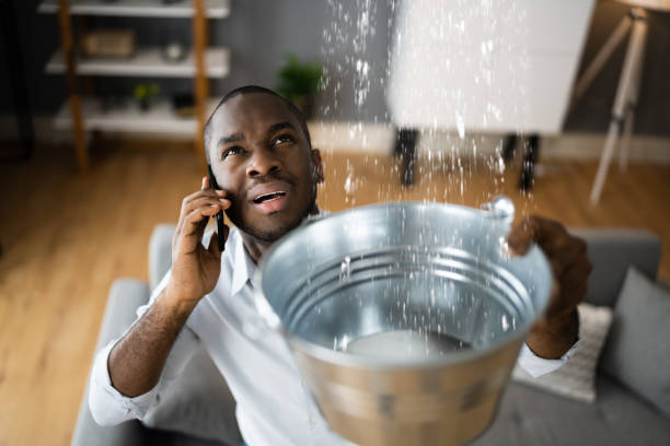 Best Flood restoration services  in Crested Butte, CO
