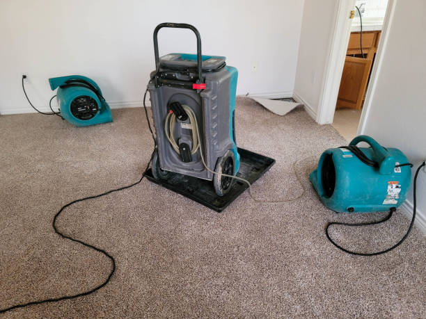 Best Sewage cleanup and water damage restoration  in Crested Butte, CO
