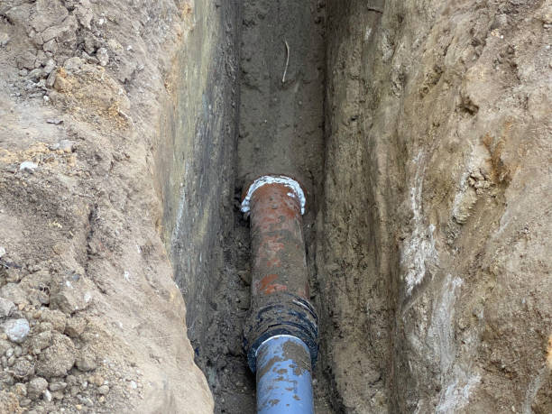 Best Flood damage cleanup  in Crested Butte, CO
