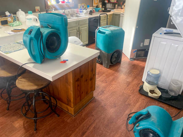 Best Fire Damage Restoration  in Crested Butte, CO
