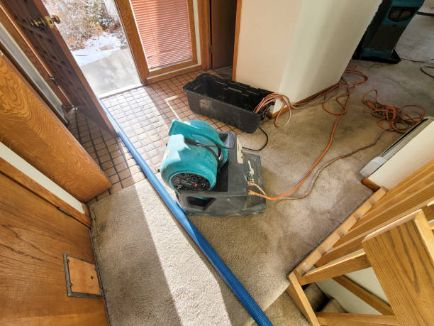 Best 24-hour water damage restoration  in Crested Butte, CO