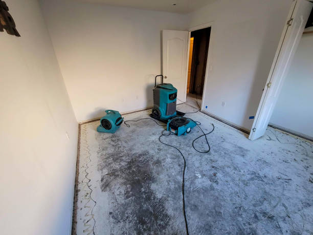 Best Water damage restoration services  in Crested Butte, CO