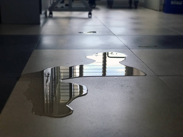 Best Professional water damage repair  in Crested Butte, CO