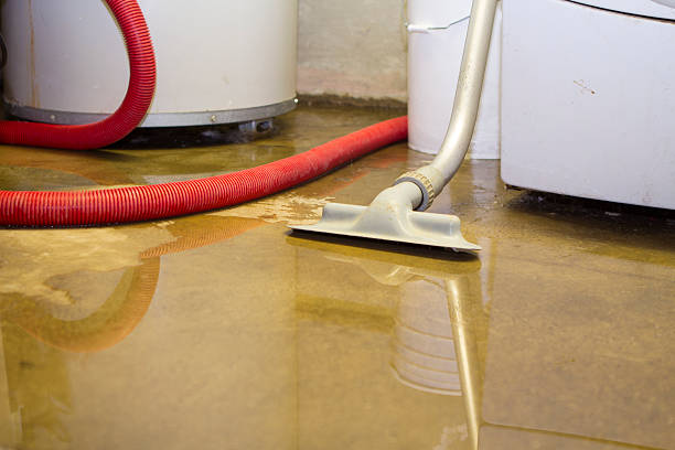 Best Flood damage cleanup  in Crested Butte, CO