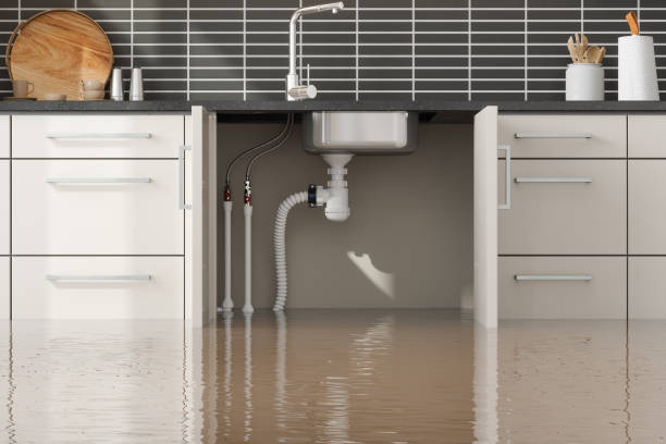 Best Water damage repair service  in Crested Butte, CO