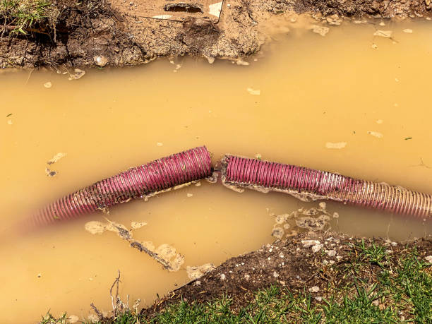 Best Commercial water damage restoration  in Crested Butte, CO