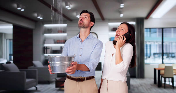 Best Commercial water damage restoration  in Crested Butte, CO